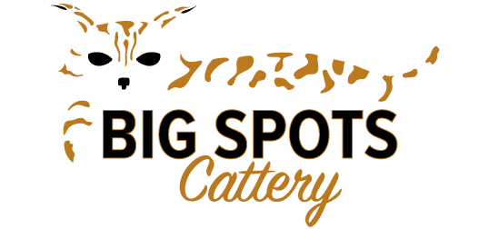 Big Spots Cattery